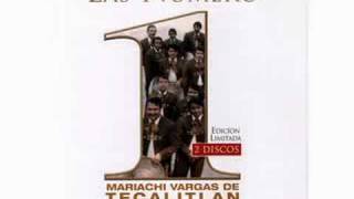 Mariachi Vargas de Tecalitlan Zacatecas [upl. by Stedt668]