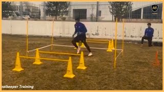 Professional Goalkeeper Training [upl. by Cahilly810]