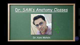 CEREBRUM 99  SENSORY AREAS  CLINICAL ANATOMY  Dr Azmi Mohsin  RMRI Bareilly [upl. by Amalie]