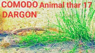 Comodo Dragon kids is funny animal  Thar moviesintelligenceanimaanimalsfunnyanimal comodonew [upl. by Anikahs998]