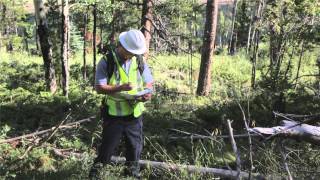 Xcel Energys Vegetation Management Challenges amp Solutions [upl. by Richara]