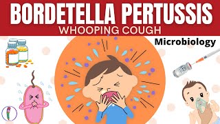 Whooping cough  Bordetella pertussis  All you need to know [upl. by Rehnberg635]