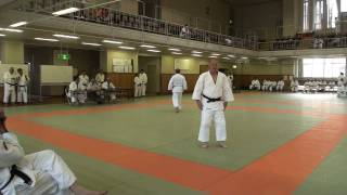 Kodokan Kata Summer Course 2010 ItsutsuNoKata Dirk de Maertelaire Tori [upl. by Piegari860]