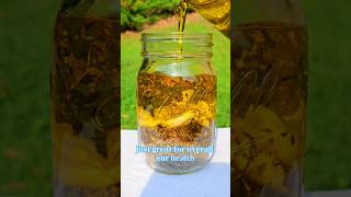 Ear infection oil Easy DIY herbal remedy earache earinfection diyremedies garlic mullein [upl. by Ydualc536]