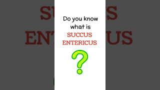 Do you know what is succus entericus [upl. by Ayikat]