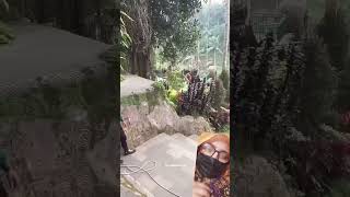 Bali swing behind the scenes nature travel adventure zipline travelvlog song [upl. by Lucita]