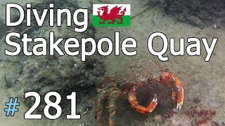 Stackpole Quay Pembrokeshire 🏴󠁧󠁢󠁷󠁬󠁳󠁿 281 [upl. by Ader]