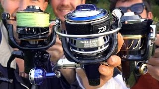 Shimano Stella or Daiwa Saltiga [upl. by Eceertal]