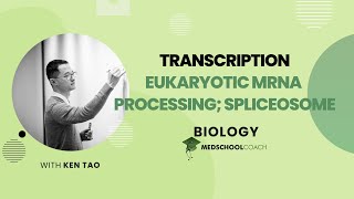 Eukaryotic mRNA Processing Spliceosome [upl. by Eira713]