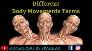 Different Body Movements  Different Body Movement Anatomy  Human Body Anatomy 3D [upl. by Llevad702]