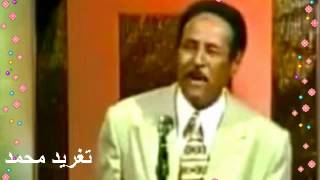 ابراهيم عوض  ابسمى يا ايامى  تغريد محمد [upl. by Dirtsa]