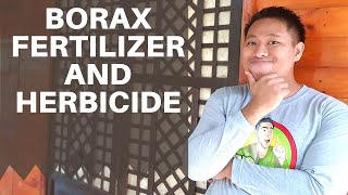 Borax Fertilizer and Herbicide Borax bilang pataba at pamatay damo [upl. by Anujra]