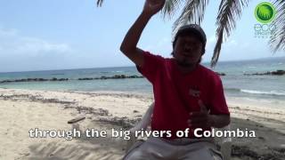 EcoCircuitos Panama Story Telling the Gunas [upl. by Merilee7]