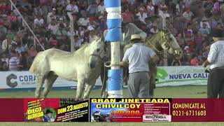 PROGRAMA N°130 FESTIVAL DEL CALDÉN NUEVA GALIASAN LUIS Última parte [upl. by Haziza298]