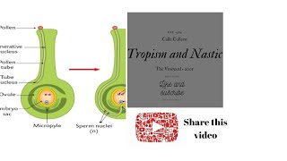 TROPISM AND NASTIC MOVEMENT FULLY EXPLAINED IN TAMIL [upl. by Amory]