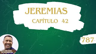 Breve Resumo de Jeremias 42 [upl. by Jemina]