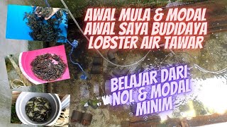 Modal Awal Budidaya Lobster Air Tawar [upl. by Seidler]