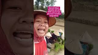 mewakili petani indonesia [upl. by Labaw]