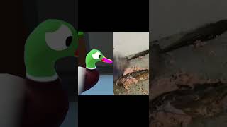 Duck reacts Debone fish HowToBasic  Original Duet  ElDuckyy shorts honkanimation [upl. by Rebme]