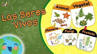 Seres Vivos  La Clasificación de los Seres Vivos  5 Reinos Video Educativo para Niños [upl. by Niki127]