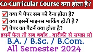 Co  curricular course kya hai  क्या इसको देना अनिवार्य है सभी सेमेस्टर में  BA  Bsc Bcom [upl. by Naibaf]