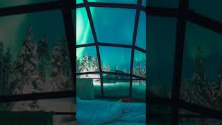 5 Reasons to Stay in Finland’s Glass Igloos for the Northern Lights [upl. by Inglis]