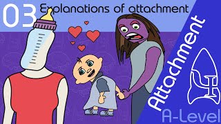 Explanations of attachment  Attachment ALevel Psychology [upl. by Halimak]