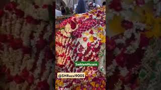 Mere Khwaja Tu Mohammed Ka pyara haikhawjagaribnawazbestqawwalistatu viralvideo shortfeed [upl. by Tniassuot310]