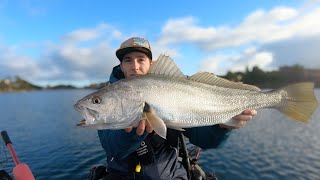 Westlakes Mulloway [upl. by Vallo521]