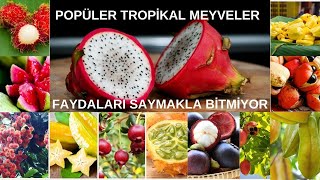 EŞSİZ TROPİKAL MEYVELERİN FAYDALARI ile sağlığınıza yatırım yapın [upl. by Aicittel197]