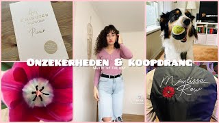 ONZEKERHEDEN KOKEN EN KOOPDRANG  Weekvlog 62 [upl. by Eahs327]