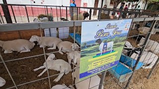 TUDO QUE TEM NO BARRA BODE 🐐 2024 BARRA DE SÃO MIGUEL PARAÍBA [upl. by Odin]