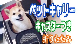 【柴犬 もみさん】ペットキャリー キャスター付 折りたたみ式 を買ってみた 商品説明）・犬用クレート I bought a Carry of Shiba Inu Ｍomisan [upl. by Iramaj]