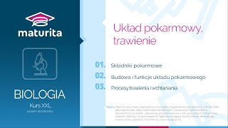 15 Układ pokarmowy człowieka trawienie  Kurs maturalny z biologii  demo kursu XXL [upl. by Nnylyram]