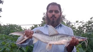 rawal dam new update fishing 18102024 [upl. by Nidroj378]