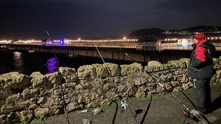 Sea Fishing in Llandudno 🦈 [upl. by Rushing403]