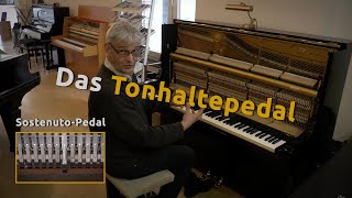 Klavier Tonhaltepedal Sostenuto mittleres Pedal [upl. by Modesty]