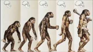 Evolutionary Predictions [upl. by Phillane]