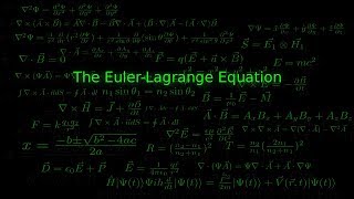 The Euler Lagrange Equation [upl. by Regan97]