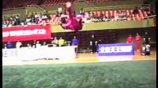 Wu Gang  Ditang Quan  1996 China Wushu Nationals [upl. by Leakim]