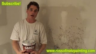 Apply Zinsser Gardz PrimerSealer to New Drywall  Drywall repair and protection Part 1 [upl. by Tawsha]