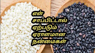 Ellu benefits Tamil  Ellu benefits in tamil  ellu benefits  Tamil Samayal Madurai  health tips [upl. by Mae]