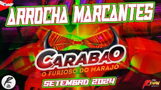 CARABAO  ARROCHA MARCANTES  SETEMBRO 2024 [upl. by Izzy]