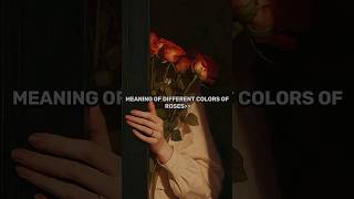 meaning of different colors of roses 🌹 ytshorts video subscribers aeshstic [upl. by Enneillij]