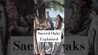 druidic oak sanctuaries and the importance of oaks in ancient Celtic culture history druids [upl. by Sheaff]