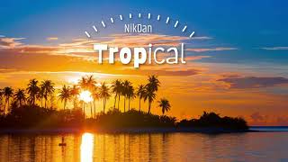 NikDan  Tropical Original mix [upl. by Yekcim]