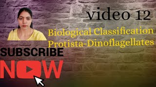 Biological Classification l protistaDinoflagellates l NCERT NEET Biology Class 11 l [upl. by Namwob111]