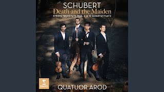 String Quartet No 12 in C Minor D 703 quotQuartettsatzquot I Allegro assai [upl. by Gillette]