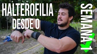 OBJETIVO Aprender HALTEROFILIA correctamente desde 0  semana 1 [upl. by Ahsilyt]