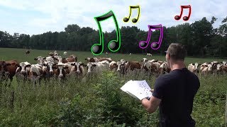 Live Burp Concert in Front of Cows [upl. by Deste]